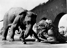 ©1957 Morningside Productions - À des millions de kilomètres de la terre (20 Million Miles to Earth)