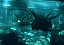 © 1997 20th Century Fox - Alien, la résurrection (Alien: Resurrection)