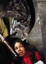 ©2004 20th Century Fox - AVP: Alien vs. Predator (AVP: Alien vs. Predator)
