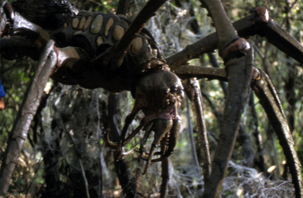 Le monstre attaque l'expédition - Arachnid