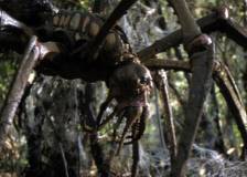 ©2001 Filmax - Arachnid (Arachnid)