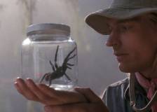 ©1990 Amblin Entertainment - Arachnophobie (Arachnophobia)