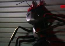 ©2005 - L'Attaque des fourmis géantes (Glass Trap)