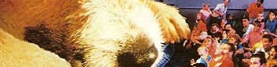 Chérie, j'ai rétréci le public