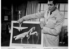 ©1967 Universal Pictures - La Chose surgit des ténèbres (The Deadly Mantis)