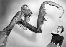 ©1967 Universal Pictures - La Chose surgit des ténèbres (The Deadly Mantis)