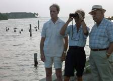 ©1985 20th Century Fox - Cocoon (Cocoon)