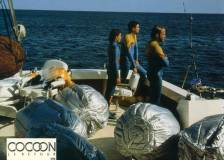 ©20th Century Fox<br />Scan SCIFI-MOVIES - Cocoon le retour (Cocoon: The Return)
