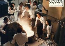 ©20th Century Fox<br />Scan SCIFI-MOVIES - Cocoon le retour (Cocoon: The Return)