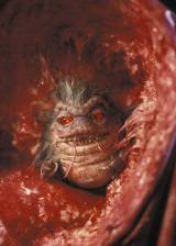 ©1992 New Line Cinema - Critters 4 (Critters 4)