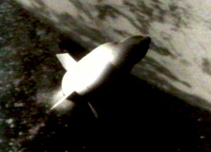 La fusée XZ s'est transformée en bombe volante - Le danger vient de l'espace (La morte viene dallo spazio)