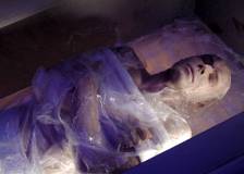 ©2008 Wild Bunch - Dante 01 (Dante 01)