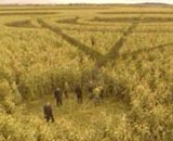 Icône pour lancer la bande-annonce n°1 de 'Disparition'