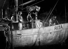 ©1954 Universal Studios - L'étrange créature du lac noir (Creature from the Black Lagoon)