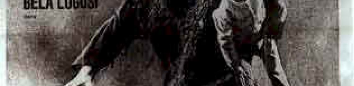 Le fils de Frankenstein