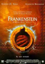 Miniature d'affiche française de 'Frankenstein'