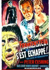 Miniature d'affiche belge de 'Frankenstein s'est échappé'