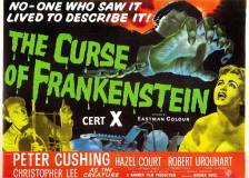 Miniature d'affiche inconnue de 'Frankenstein s'est échappé'