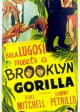 Miniature d'affiche américaine de 'Le gorille de Brooklyn'