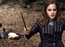 ©2010 Warner Bros. - Harry Potter et les reliques de la mort - partie 1 (Harry Potter and the Deathly Hallows: Part 1)