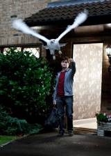 ©2010 Warner Bros. - Harry Potter et les reliques de la mort - partie 1 (Harry Potter and the Deathly Hallows: Part 1)