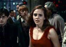 ©2010 Warner Bros. - Harry Potter et les reliques de la mort - partie 1 (Harry Potter and the Deathly Hallows: Part 1)