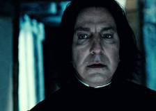 ©2010 Warner Bros. - Harry Potter et les reliques de la mort - partie 2 (Harry Potter and the Deathly Hallows: Part 2)