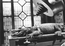 ©1959 - L'Homme Alligator (The Alligator People)