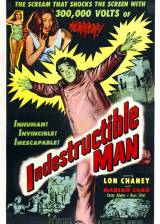 Miniature d'affiche américaine de 'L'homme indestructible'