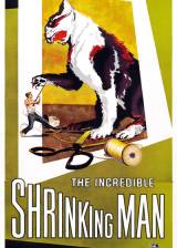 Miniature d'affiche américaine de 'L'homme qui rétrecit'
