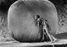 ©1957 Universal International Pictures - L'homme qui rétrecit (The Incredible Shrinking Man)