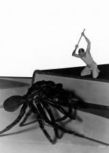 ©1957 Universal International Pictures - L'homme qui rétrecit (The Incredible Shrinking Man)
