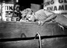 ©1957 Universal International Pictures - The Incredible Shrinking Man (The Incredible Shrinking Man)