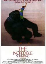 Us poster thumbnail from 'The Incredible Shrinking Woman'