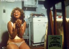 © 1975 Transcentury Productions - L'invasion des araignées géantes (The Giant Spider Invasion)