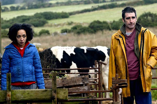 Ah la belle campagne irlandaise ! - Isolation