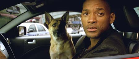 Robert Nevile et sa chienne Samantha - Je suis une légende (I Am Legend)