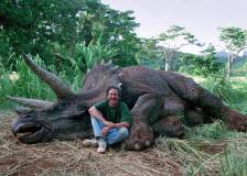 ©1993 Universal Studios - Jurassic Park (Jurassic Park)