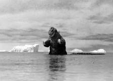 ©1962 Toho - King Kong contre Godzilla (Kingu Kongu tai Gojira)