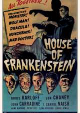 Miniature d'affiche inconnue de 'La maison de Frankenstein'