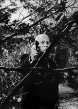 ©1952 Carlton Films - La mandragore (Alraune)