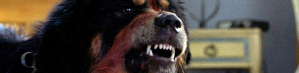 Max, le meilleur ami de l'homme