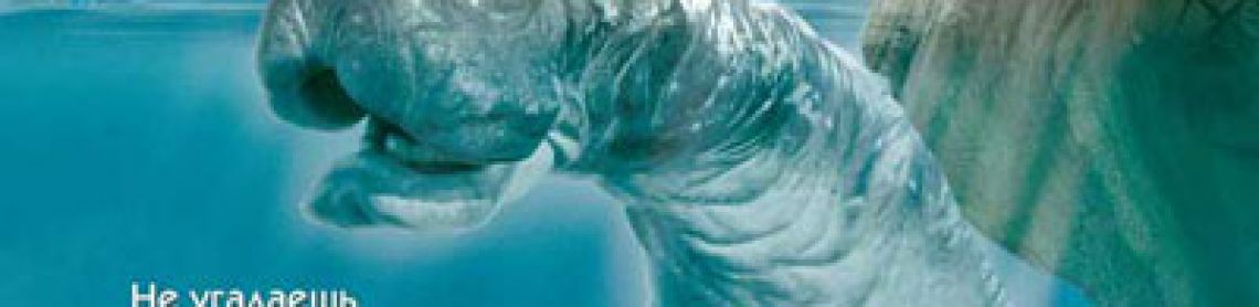 Mee-Shee, le secret des profondeurs