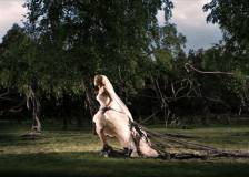 ©2011 Magnolia Pictures - Melancholia (Melancholia)