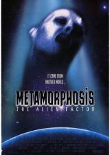 Miniature d'affiche américaine de 'Metamorphosis'
