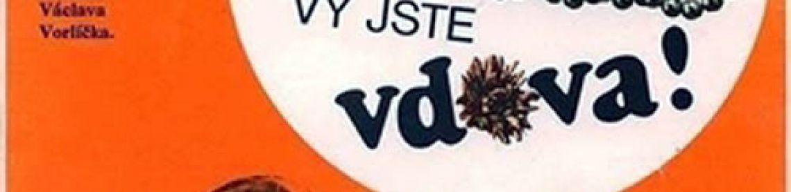 Monsieur, vous êtes veuve