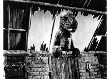 ©1956 United Artists - La montagne mystérieuse (The Beast of Hollow Mountain)