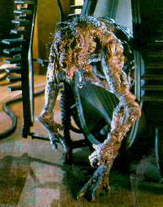 Seth à l'apogée de sa transformation - La Mouche (The Fly)