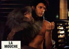 ©1986 20th Century Fox - La Mouche (The Fly)
