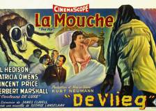 Miniature d'affiche belge de 'La mouche noire'